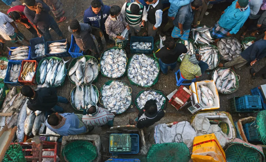 Standaardisering van chepa shutki - Een traditioneel gefermenteerd visproduct uit Bangladesh