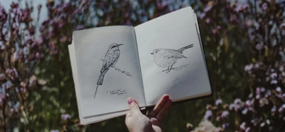nascholing docent kunst tekenen vogels