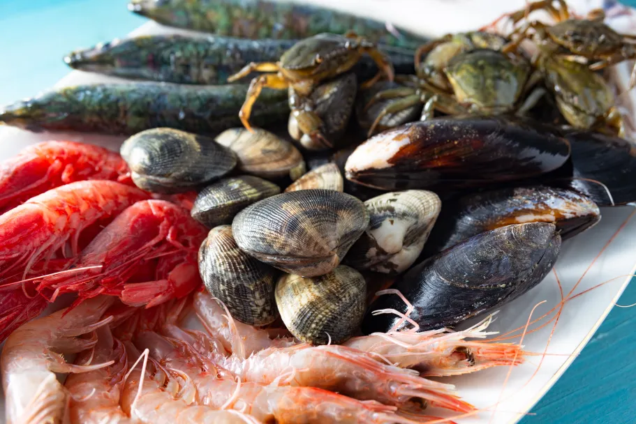 Shellfish and shrimp
