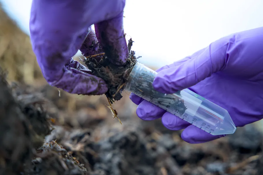 Manure in a test tube