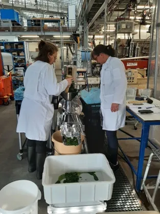 Researchers working with proteins in the laboratory