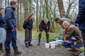 Bakken met nimfen (larven) van de beeksteenvlieg en bruintiphaf