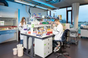 Colleagues are performing research on plants in the molecular lab