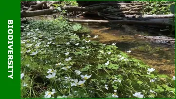 Nederland inrichten als een spons - KennisOnline 2023