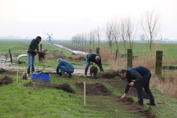 Vier mannen zoeken jonge, gelabelde boompjes uit in een weide