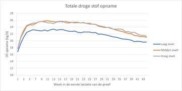 Figuur 1: Droge stof opname van koeien met verschillende eiwitgehaltes in het rantsoen (Laag: 13.3%; Midden 14.3%; Hoog: 15.4%) tijdens de eerste lactatie (44 weken) van de proef.