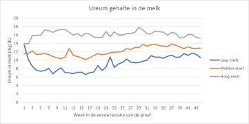 Figuur 3: Ureum gehalte in de melk van koeien met verschillende eiwitgehaltes in het rantsoen (Laag: 13.3%; Midden 14.3%; Hoog: 15.4%) tijdens de eerste lactatie (44 weken) van de proef.