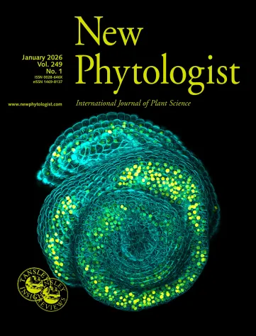 New Phytologist journal cover