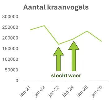 Resultaten van de Spaanse tellingen van de afgelopen jaren. De jaren 2023 en 2024 geven een vertekend beeld, omdat er toen slecht zicht was tijdens de tellingen. Dit jaar zijn de tellingen wel met goed weer uitgevoerd. Dat kan de daling in 2026 dus niet verklaren.