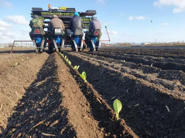 Tractor op land