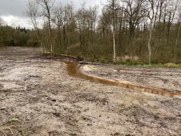 Herstelmaatregelen in Brabantse beek
