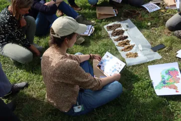 Bodemdieren docenten