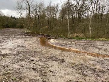 Herstelmaatregelen in Brabantse beek De Run in Veldhoven