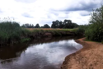 Foto van de Dommel met zandige oevers en banken (dit is dichtbij Eindhoven, dus buiten onderzoeksgebied)