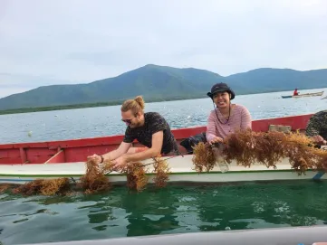 Onderzoeker Reinier Nauta in een boot met twee andere mensen, die een touw met zeewier uit het water trekken en bekijken