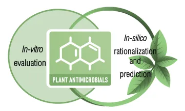 Plant antimicrobials