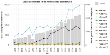 Staafdiagram van aantallen grijze zeehonden geteld in de Nederlandse Waddenzee en de deelgebieden