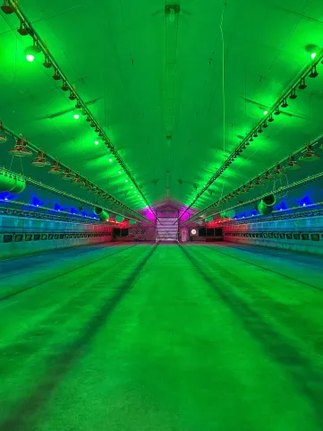 Een demionstratie van Functilight.
