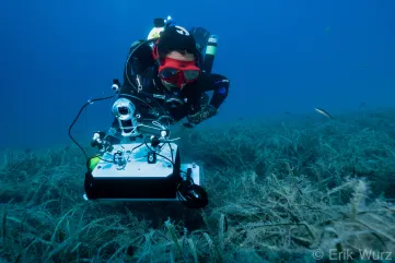 Scientific diver placing sensing box
