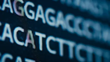 A DNA sequence on a screen.